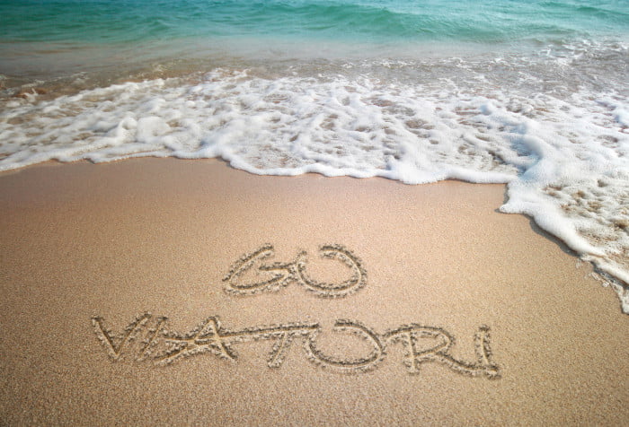Read more about the article Exploring the Land: Shore Excursions with Viator during Your Cruise