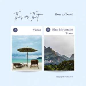 Read more about the article How Do Viator Prices Compare To Booking Directly With The Activity Provider?