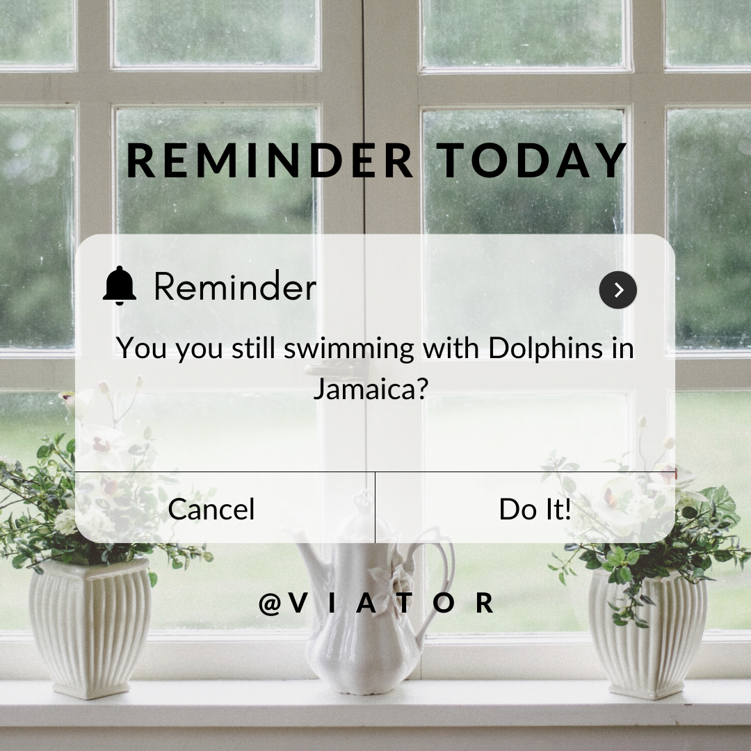 You are currently viewing Can I Cancel Or Modify My Booking? What’s Viator’s Cancellation Policy?