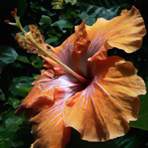 Read more about the article Is it worth it to island hop Hawaii? Island hopping in Hawaii Guide: Road Tripping Tips for Driving the Road to Hana on Maui