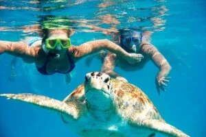 Read more about the article Snorkeling Bahamas Nas 3 Stops: Aquatic Tour, Snorkel 2 Reefs, Turtle View!