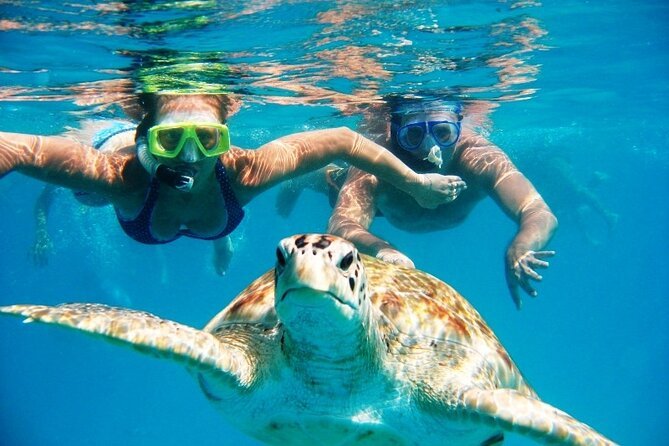 Read more about the article Which Hawaii island has best snorkeling? Find Out in A Guide to Diving and Snorkeling in Hawaiian Islands