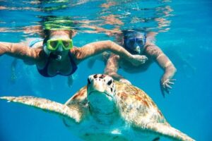 Read more about the article The Ultimate Guide to Snorkeling Grand Cayman with Turtles and Diving in the Caribbean