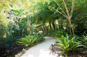Read more about the article Queen Elizabeth Botanic Park Tour Review