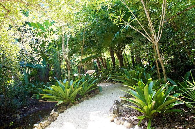 Read more about the article Queen Elizabeth Botanic Park Tour Review