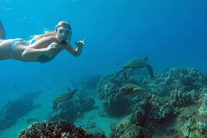 Read more about the article Best Guided San Juan Snorkel Tour Review