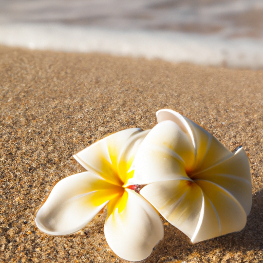 Understanding The Aloha Spirit: How It Influences Hawaii's Island ...