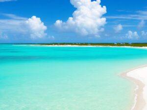 Read more about the article A Perfect 1 Day Itinerary Ocean Cay Bahamas for Cruisers