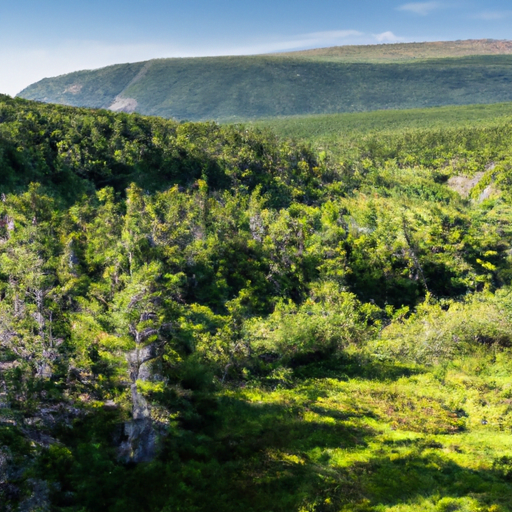 Read more about the article Exploring Canada’s Scenic Wonders: Gros Morne National Park and Bay of Fundy