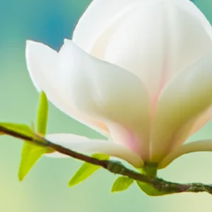 Read more about the article Exploring Serene Gardens and Parks Around the World