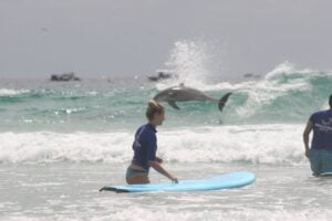 Read more about the article Surfing in Hawaii: Which Island is the Best?