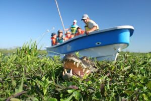 Read more about the article 5-Day Ibera Marshlands & Iguazu Falls Tours by Locals Review