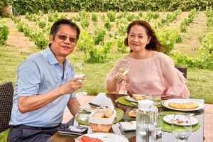 Read more about the article 6 Day Wine and Gastronomy Tour of Northern Spain Review