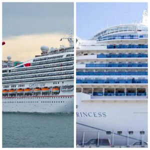 Read more about the article CARNIVAL VS PRINCESS CRUISES Review