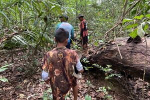Read more about the article Jesse’s Adventures – Survive and Thrive in the Amazon Rain Forest Review