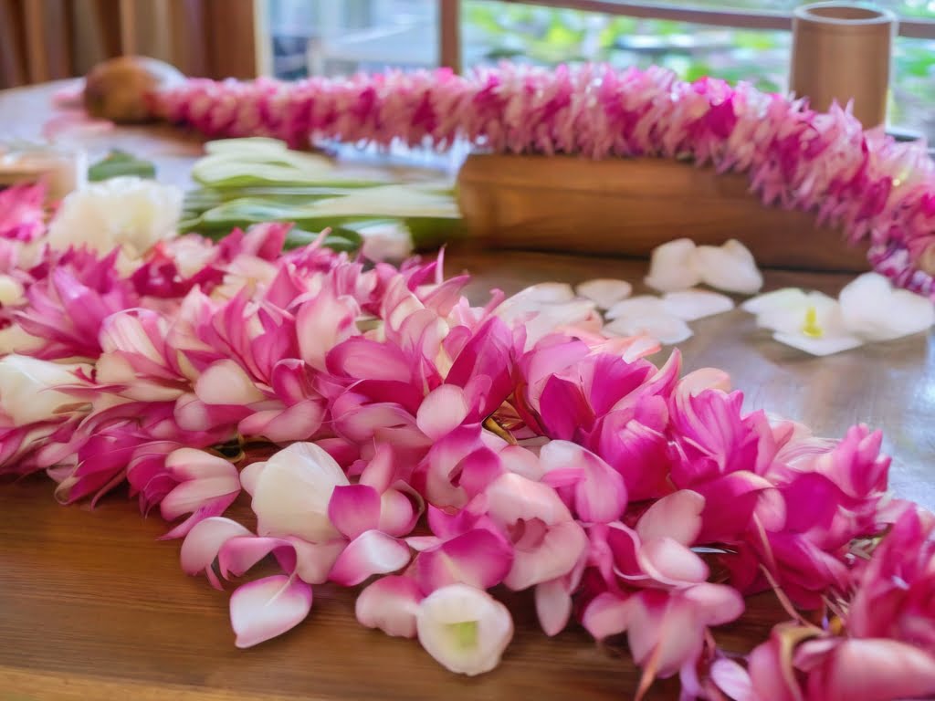 Read more about the article Cultural Etiquette: Navigating Local Customs for Cruisers