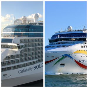 Read more about the article NCL vs PRINCESS CRUISES Review: Which Cruise line has better Reputation?