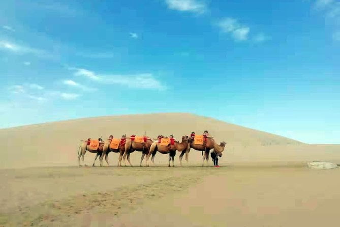 You are currently viewing Silk Road 14-Day Muslim Tour Review