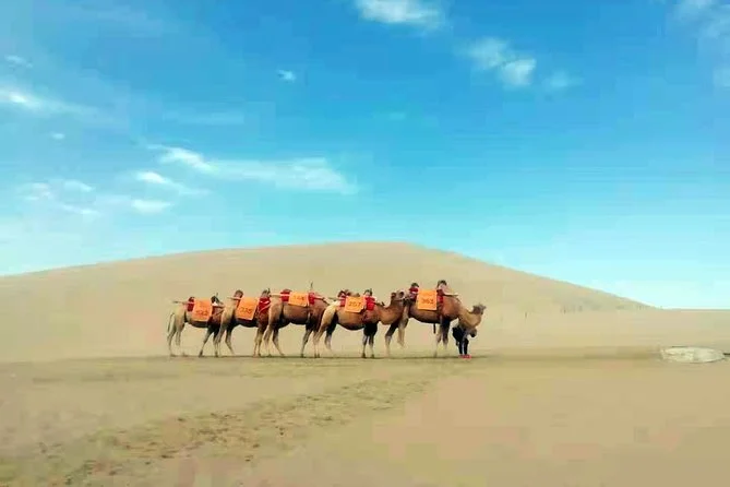 Read more about the article Silk Road 14-Day Muslim Tour Review