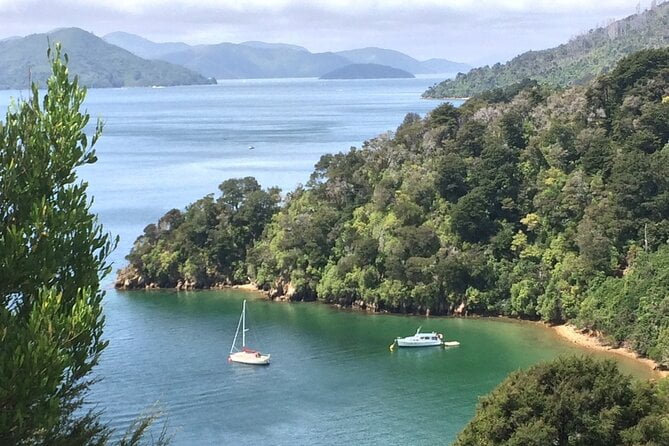 You are currently viewing South Island New Zealand Road Trip Delights: Custom Multi-Day 7D : 6N Review